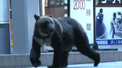 札幌でまたクマ出没 ガソリンスタンドで Fnn Jpプライムオンライン