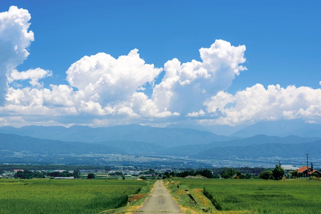 写真・図版