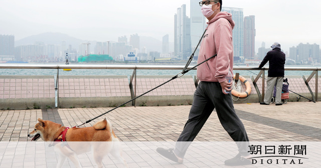 新型コロナ感染の犬が死ぬ 香港 隔離中も発症はせず