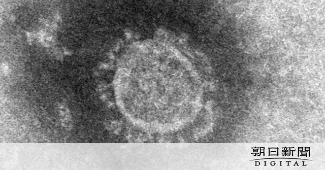 長崎で2人目のコロナ感染者 イギリスから帰国の大学生