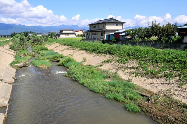 写真・図版