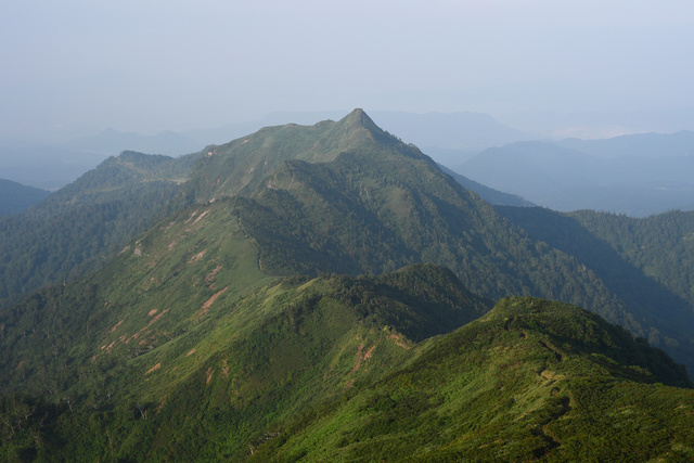 写真・図版