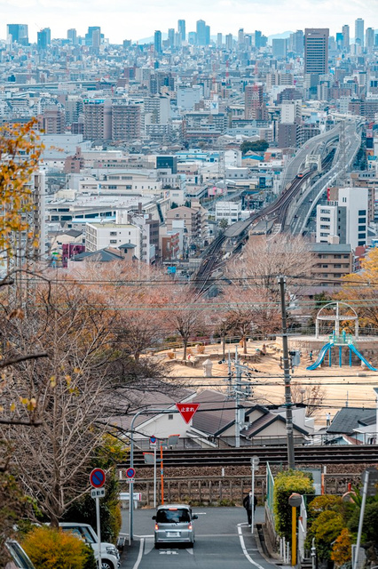 写真・図版