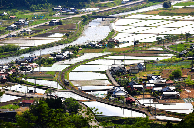 写真・図版