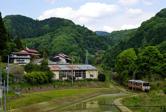 写真・図版